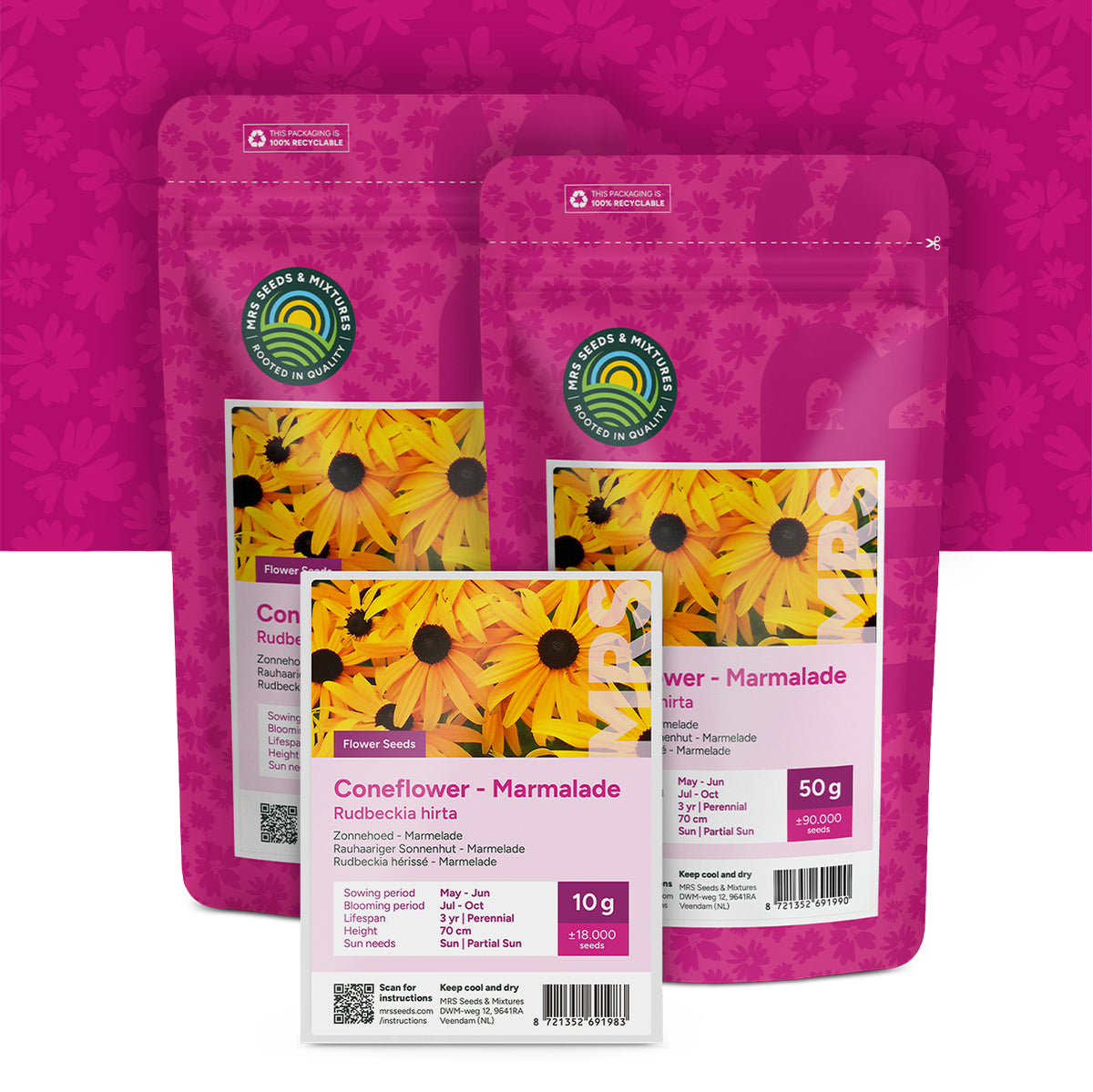 Echinacea 'Marmelade' – Rudbeckia hirta