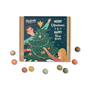 Blossombs Boîte cadeau 'Xmas' boules de graines - 9 pièces [fr]