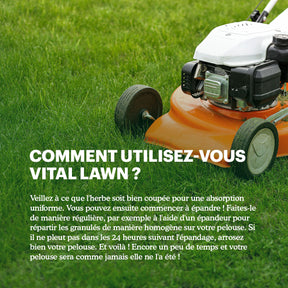 Joyfields Vital Lawn - Engrais pour gazon avec chaux [fr]