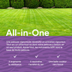 MRS Seeds & Mixtures All-in-One - Engrais pour gazon avec chaux | 20 kg - 500 m² [fr]