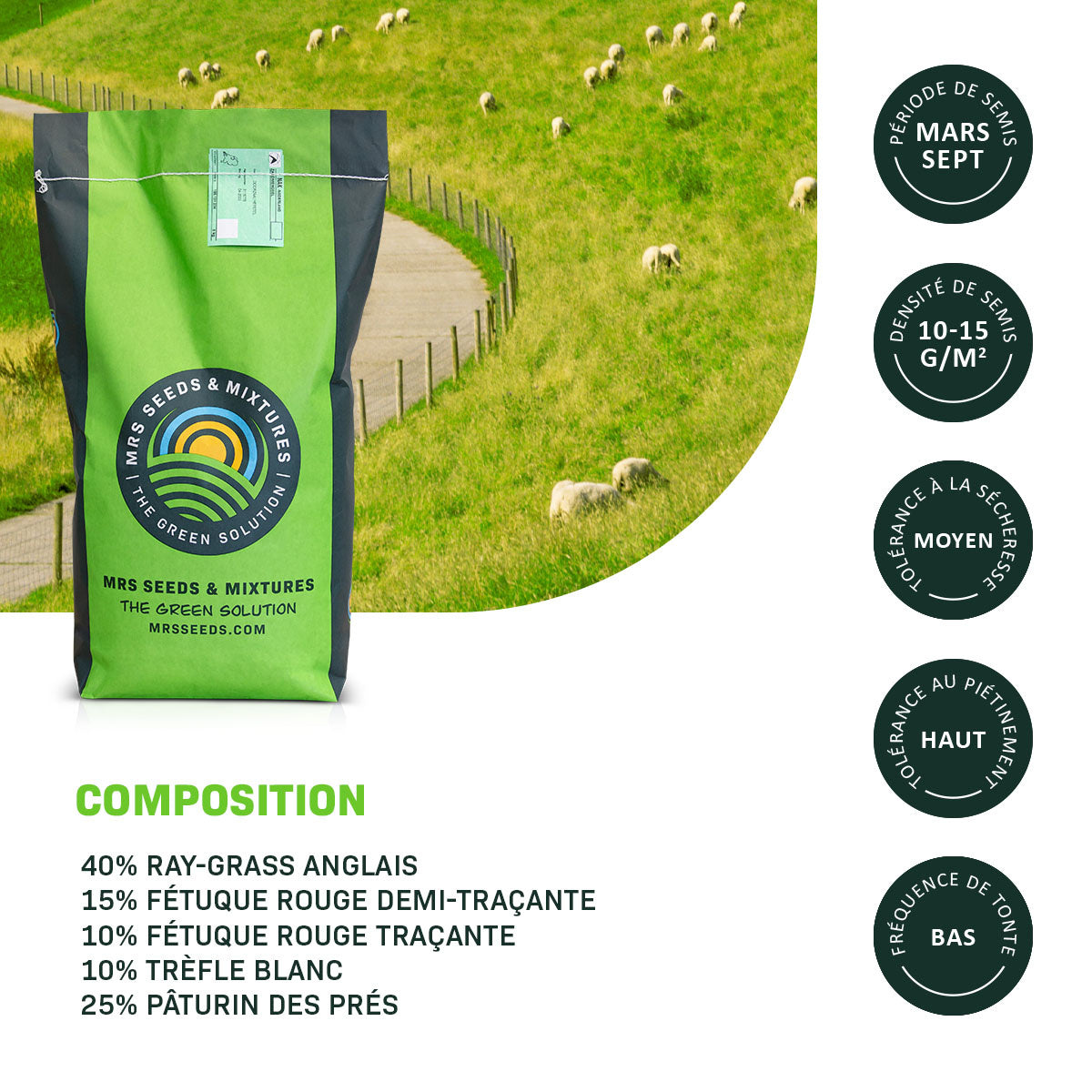 MRS Seeds & Mixtures Digues 1 - 15 kg | Herbe savoureuse pour le pâturage [fr]