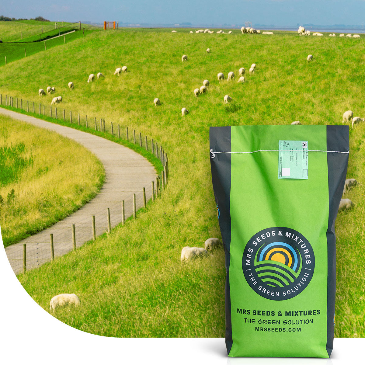 MRS Seeds & Mixtures Dijken 1 - 15 kg | Smakelijk gras voor beweiding