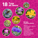 MRS Seeds & Mixtures Flower Bombs - Bombes de graines mix - Merci ! [fr]