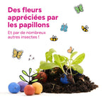 MRS Seeds & Mixtures Flower Bombs - Bombes de graines mix - Merci ! [fr]