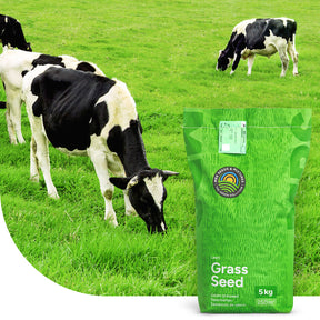MRS Seeds & Mixtures Graze -  BG11 | Blijvend Grasland