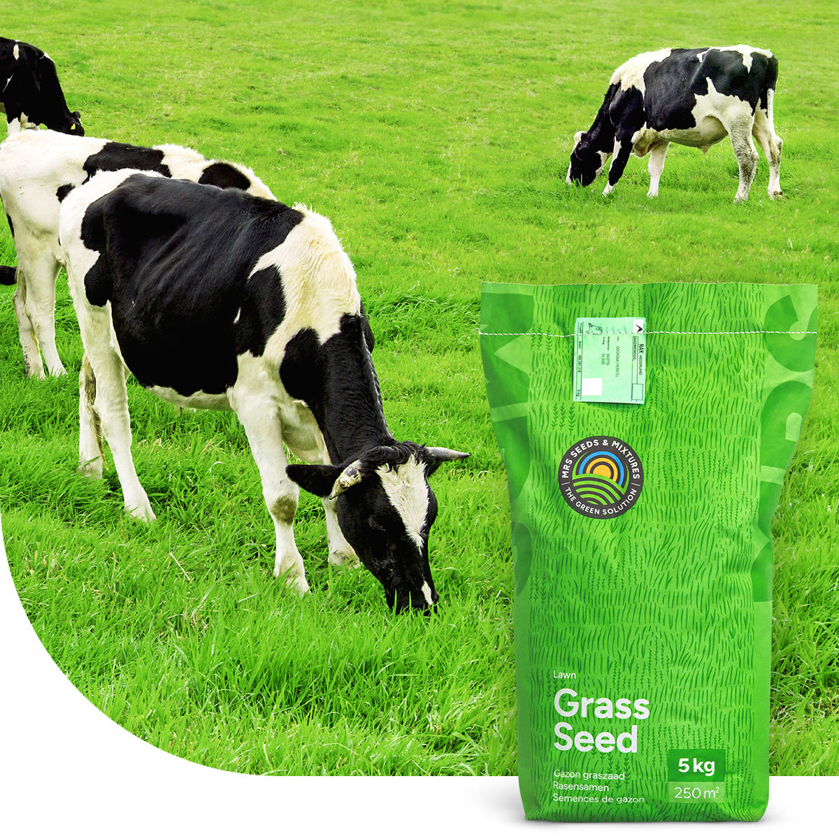 MRS Seeds & Mixtures Graze -  BG11 | Blijvend Grasland