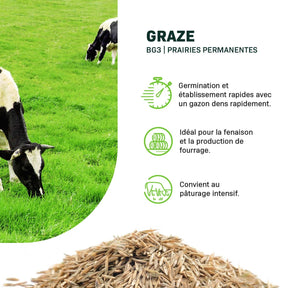MRS Seeds & Mixtures Graze - BG3 | Mélange prairie longue durée 15KG [fr]