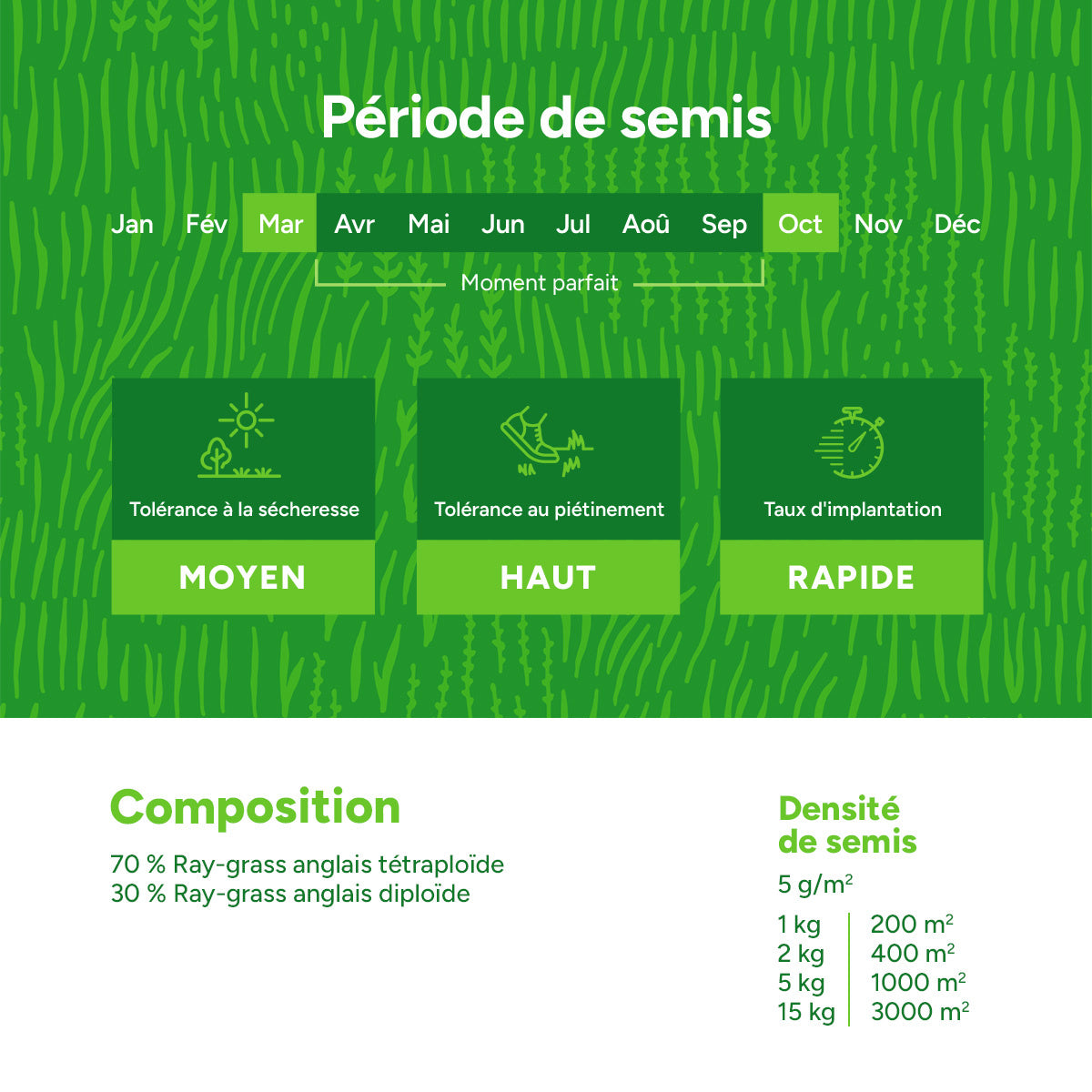 MRS Seeds & Mixtures Graze | Prairies 3 [fr]