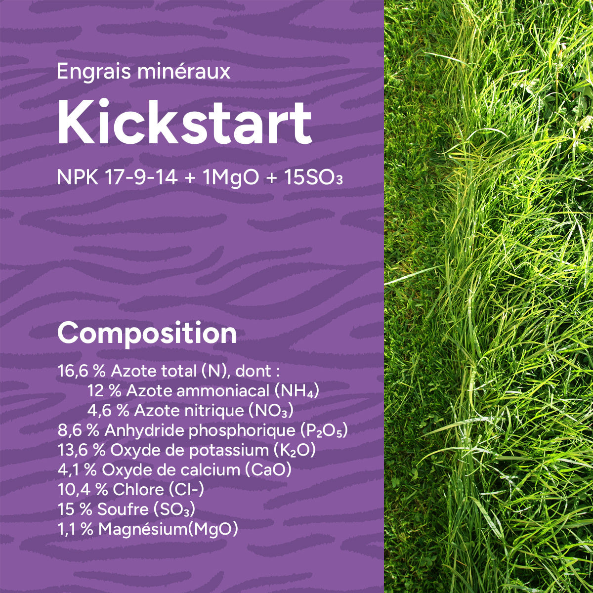 MRS Seeds & Mixtures Kickstart - Engrais pour gazon de printemps | 20 kg - 500 m² [fr]