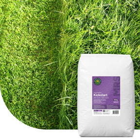 MRS Seeds & Mixtures Kickstart - Gazonmest voorjaar | 20KG-500m2
