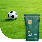 MRS Seeds & Mixtures Play & Sport Premium - Graszaad speelgazon 10KG