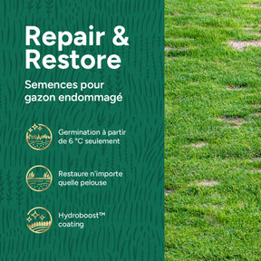 MRS Seeds & Mixtures Repair & Restore - Semence gazon réparation 10 kg [fr]